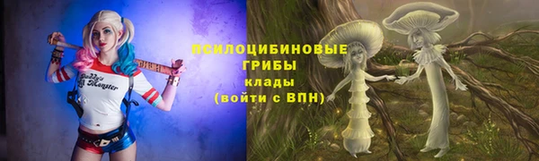 а пвп мука Аркадак