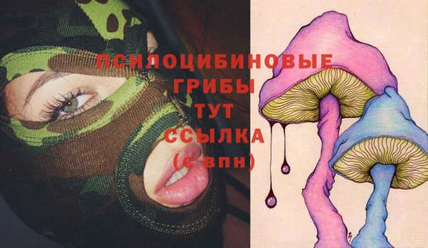 меф Арсеньев