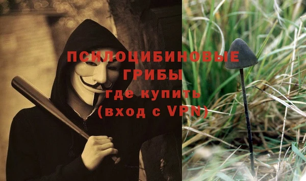 скорость Алзамай
