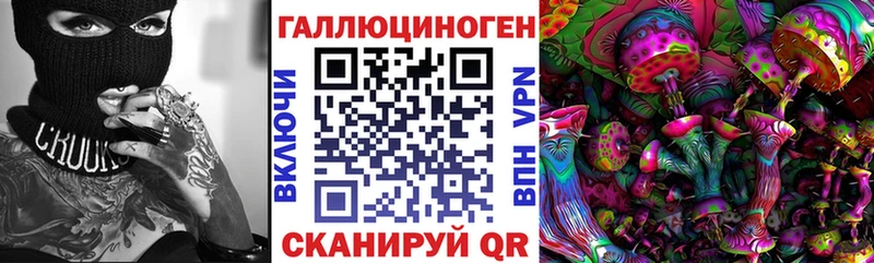 Псилоцибиновые грибы Psilocybe  Дыгулыбгей 