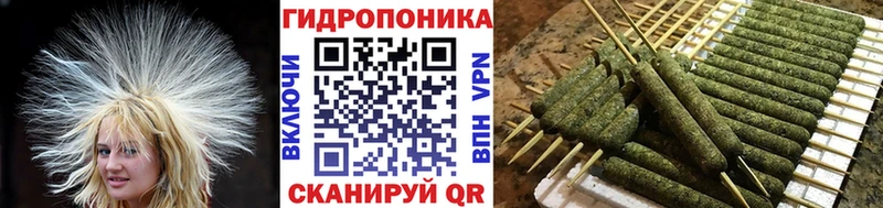 МАРИХУАНА ГИДРОПОН  Дыгулыбгей 
